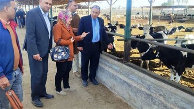 وكيل زراعة البحيرة يوصي بزراعة البساتين وتشغيل مصنع الألبان بمشروع عاداة للثروة الحيوانية