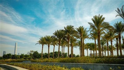 جودة الهواء في العاصمة الإدارية ضعف معدلات الأمان المسموح بها عالمياً