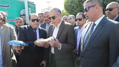 تحرير 56 محضرًا تموينيًا بالمنيا