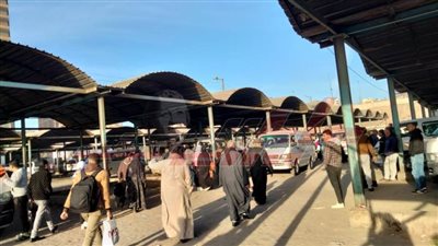انتظام حركة نقل الأهالي والطلاب بمجمع مواقف كفر الشيخ