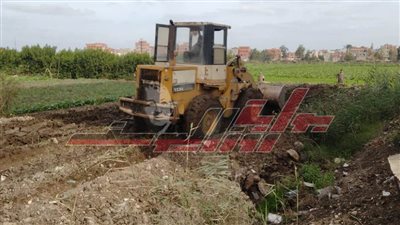 إزالة 8 حالات تعد على الأراضي الزراعية بكفر الشيخ