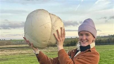 عاجل| امرأة تطعم أسرتها لمدة أسبوع بفطر يزن 11 رطلاً.. والعلماء يحذرون