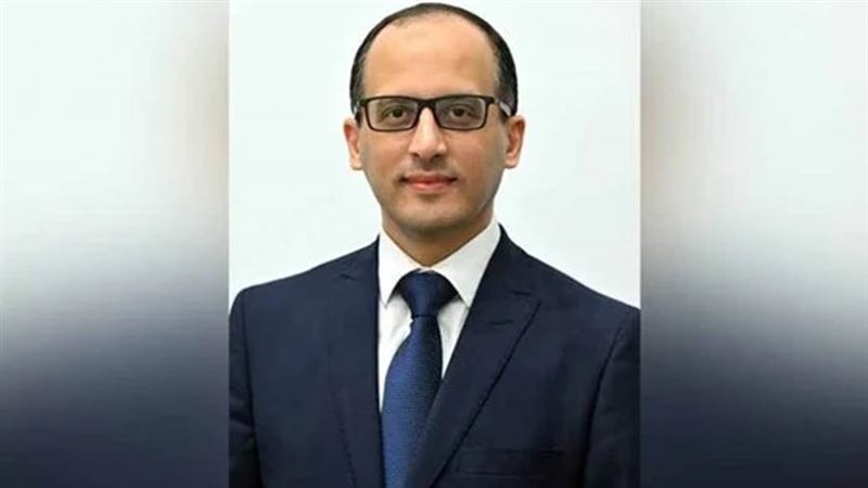 المستشار محمد الحمصاني