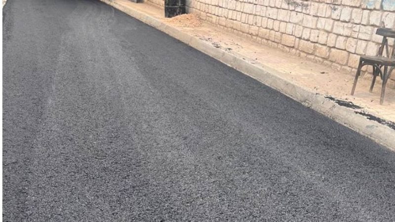 محافظة الإسكندرية