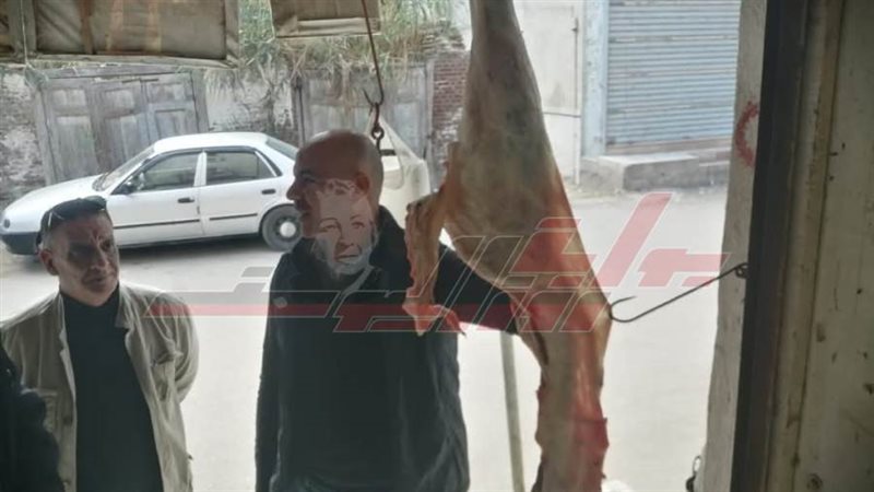 الحملات المكبرة