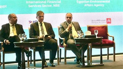 وزارة البيئة تنظم حلقة نقاشية عن دور البنوك في التحول الاخضر داخل قطاع الصناعة