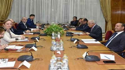 أبو الغيط لوفد 