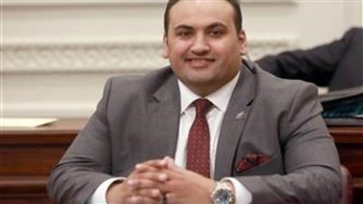 النائب محمد الرشيدي: القمة المصرية الأردنية تؤكد التقارب تجاه قضايا وتحديات المنطقة