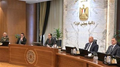 الوزراء يوافق على قرار بتشكيل 