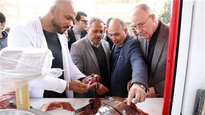 بـ270 جنيهًا.. محافظ الشرقية يقرر خفض سعر اللحوم البلدية 