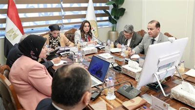 وزيرا التنمية المحلية والبيئة تتابعان مع محافظي القاهرة والجيزة والقليوبية 