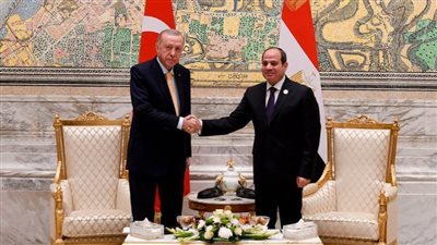 الرئيس السيسي يستقبل نظيره التركى على هامش قمة الثمانى للدول النامية