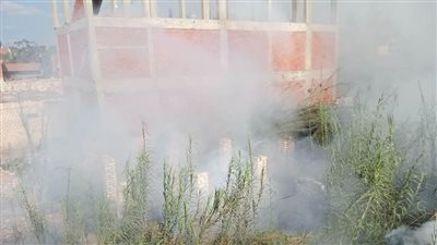 السيطرة على حريق بمنطقة بوص مجاورة لمساكن في بنها