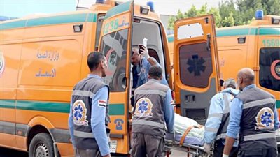 مصرع ربة منزل وإصابة نجلها إثر تسرب في الغاز في شقة بطوخ