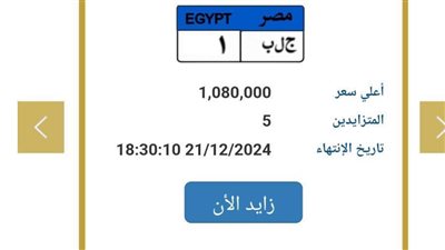 وصلت لمليون جنيه.. اشتعال المزاد على لوحة «ج ل ب - 1» المميزة