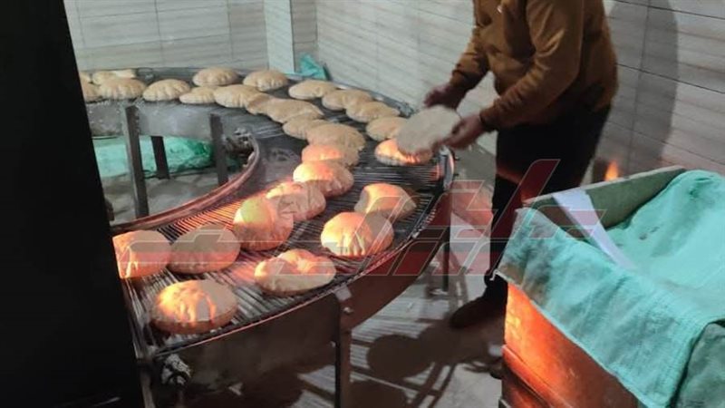 الحملات الرقابية