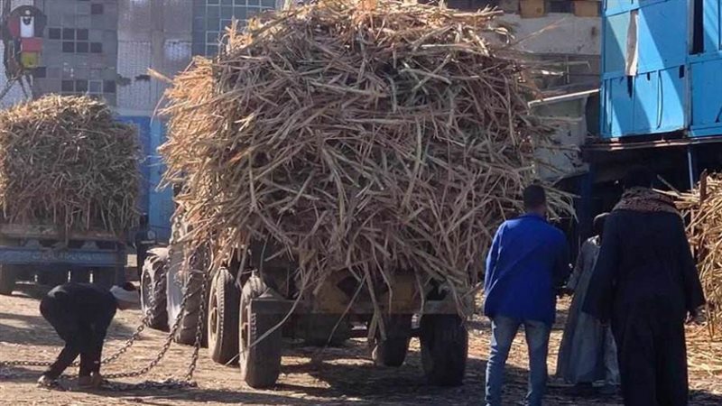 مصنع سكر أبوقرقاص