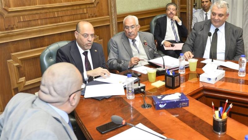 وزير العمل أمام لجنة