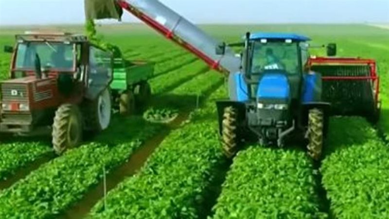 مشروع مستقبل مصر