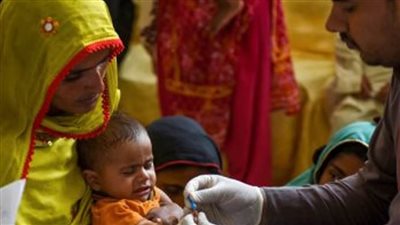 برلمانية وباحث بـ 