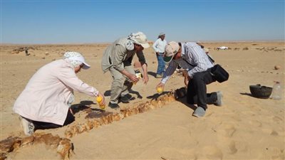 «قارون» تتزين بالطرق الخضراء ومركز تثقيفي للمناخ..و«الدبابية» على الخريطة السياحية