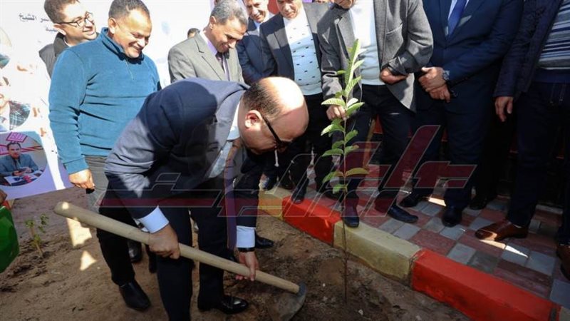 زراعة الأشجار