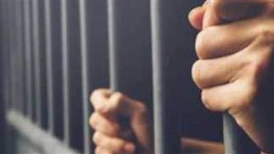 المؤبد وغرامة 100 ألف جنيه للمتهم بالاتجار في المواد المخدرة بشبرا الخيمة