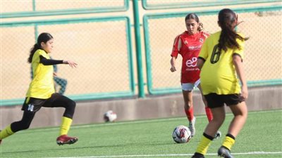 كرة القدم النسائية| 