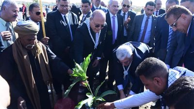 التعليم العالي وجامعة سوهاج يشاركان بزراعة ٦٠ شجرة مثمرة