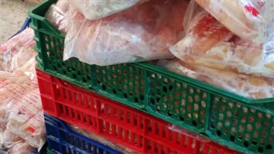 ضبط 9 أطنان أسماك وسردين وملح وأعلاف فاسدة و6 آلاف لتر بنزين سولار مدعم بالغربية