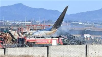 مصر تعزي كوريا الجنوبية في ضحايا حادث الطائرة المنكوبة