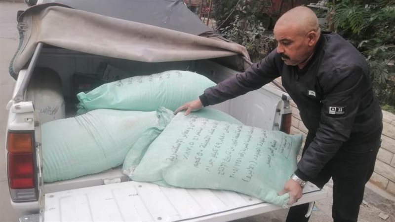 تموين الإسكندرية