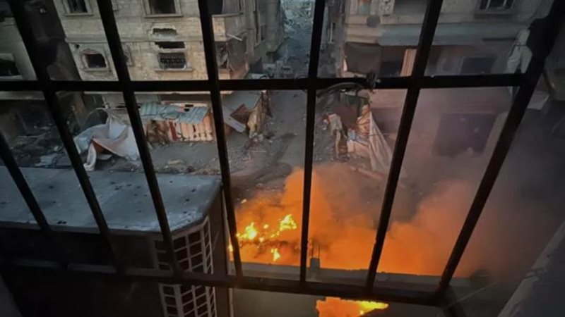 بوابة روز اليوسف