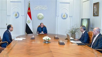 عاجل.. الرئيس السيسي يطلع على الجهود المبذولة في تنفيذ استراتيجية مصر الرقمية 