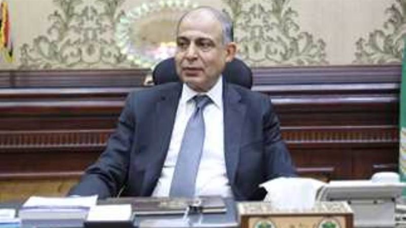 محافظ المنيا