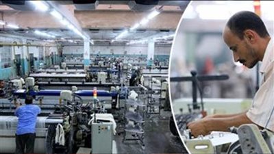 برلمانية: دعم الصناعة المحلية خطوة استراتيجية نحو تعزيز الإنتاج الوطني وزيادة الصادرات