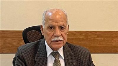 العربي الناصري: 2025 عام العبور الحقيقي إلى الجمهورية الجديدة