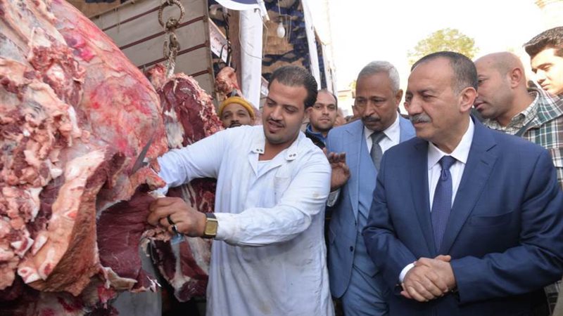 محافظ أسيوط يتفقد