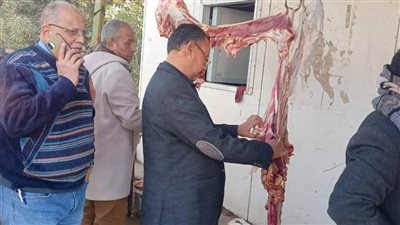 تحرير 565 محضرا تموينيا وضبط 50 شيكارة كربونات بوتاسيوم وسلع غذائية منتهية الصلاحية بأسيوط 