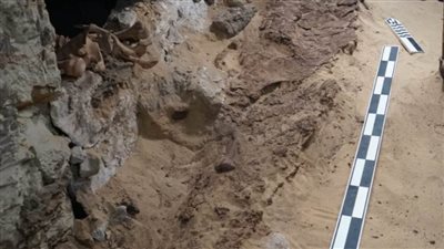 اكتشافات جديدة بسقارة تكشف عن المزيد من أسرار تاريخ المنطقة.. صور 