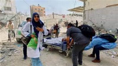 المُستشار الألماني: قلقون حيال دعم الملياردر الأمريكي 