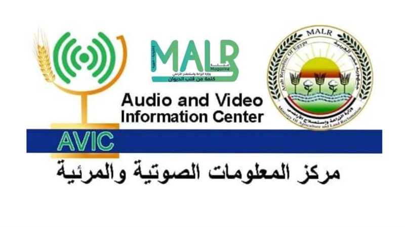 مركز المعلومات الصوتية