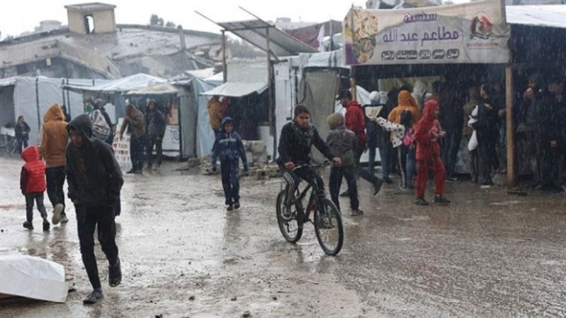 مطاعم الشاورما في