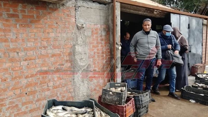 ضبط الأسماك