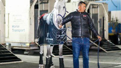 عودة خيول الفروسية المصرية للمشاركة الدولية بعد حظر 20 عامًا 