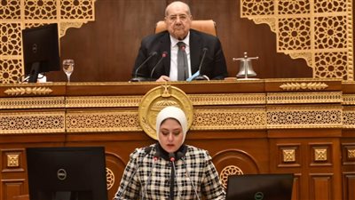 مجلس الشيوخ يناقش طلب مناقشة عامة لنائبة التنسيقية بشأن تعظيم استغلال ثروات مصر المعدنية