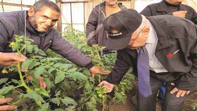 الزراعة: الاتحاد العام لمنتجي ومصدري الحاصلات البستانية يتابع الصوب الزراعية في النوبارية وقها 