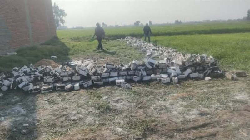 جانب من حملة الإزالة