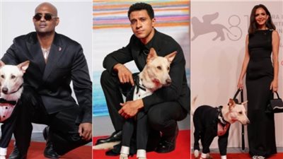 اليوم.. ٩٠ دار عرض سينمائية في الخليج تستقبل رامبو