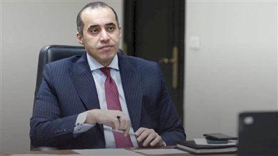 وزير الشؤون النيابية والقانونية والتواصل السياسي، يستقبل عضو البرلمان الأوروبي.
